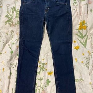 Hudson Jeans Tall Collin Midrise Skinny flap Supermodel Elysian Denim 31x27